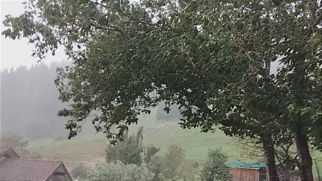 20230917155902_markina-ekaitza-haizea_