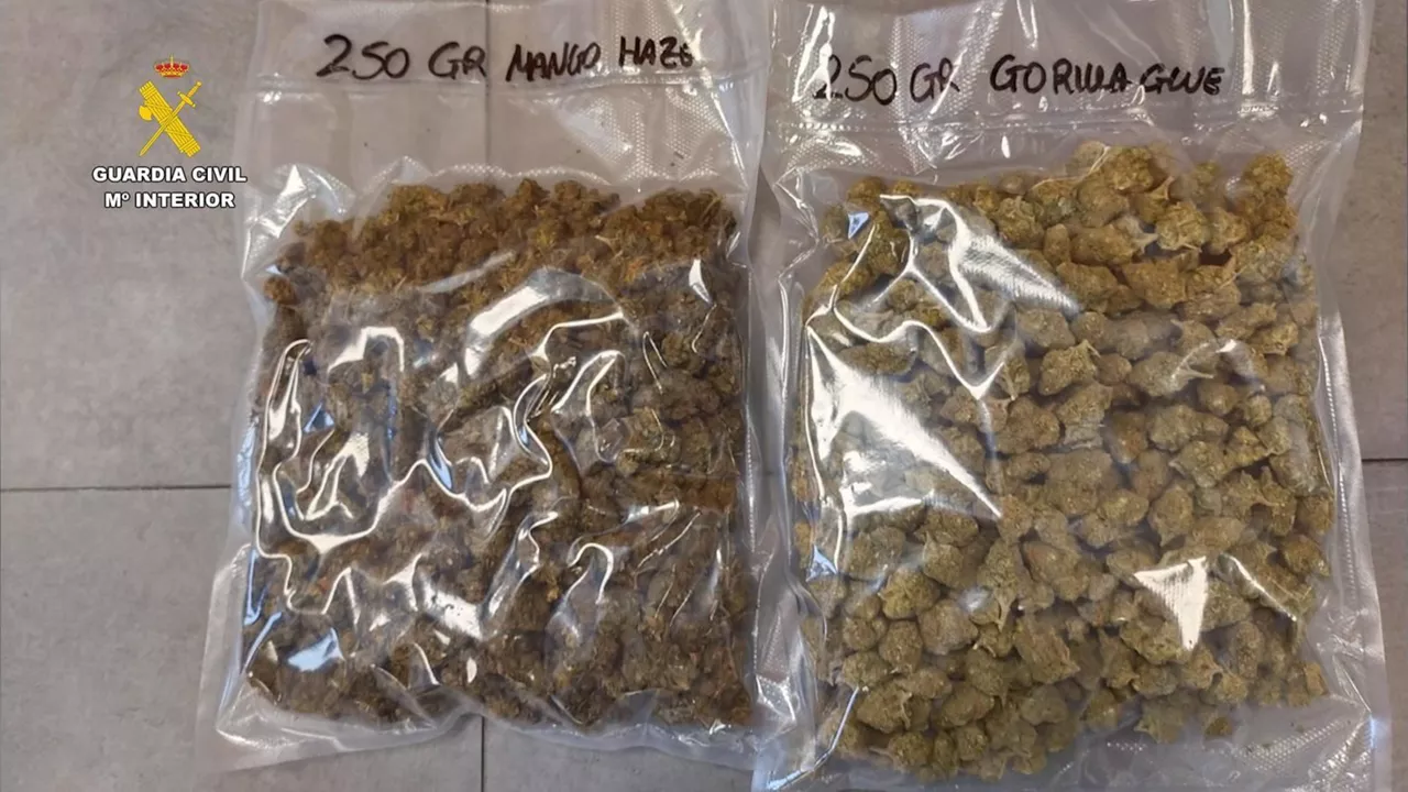cogollo-marihuana-2