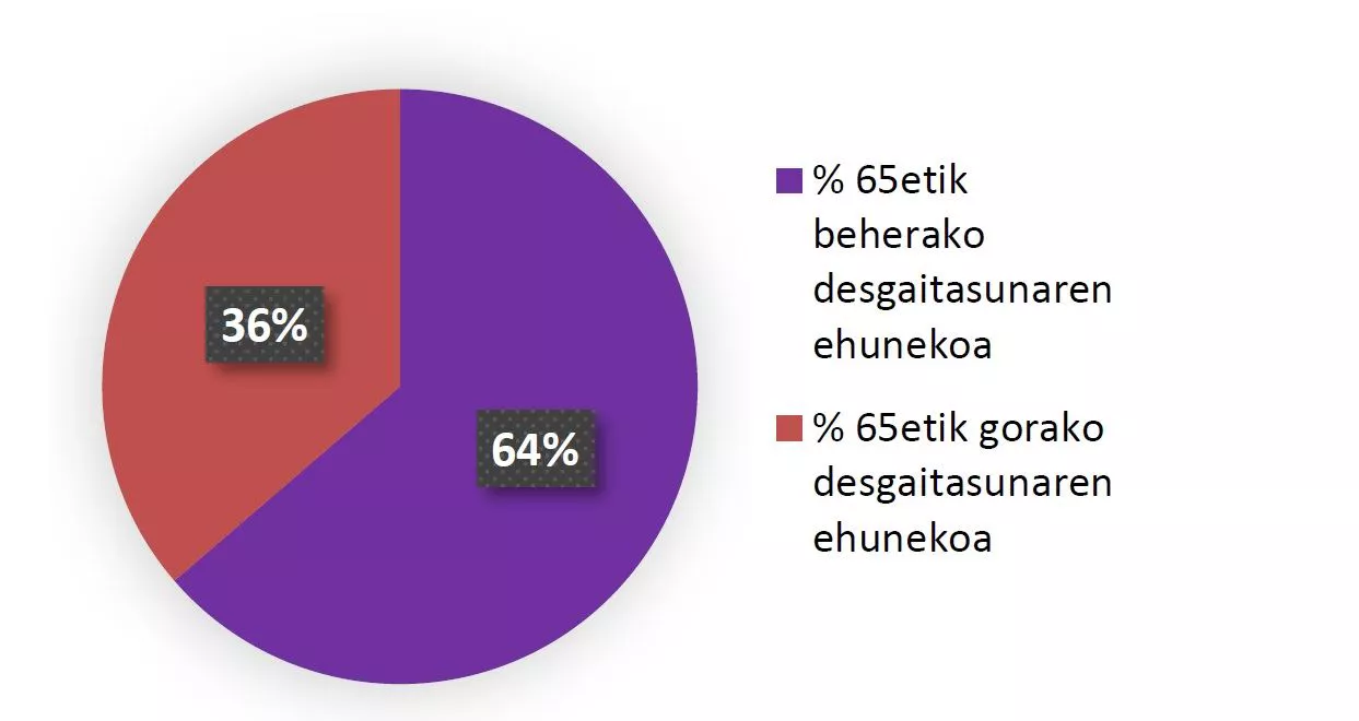 grafikoa-desgaitasuna-ikusmira-jaurlaritza