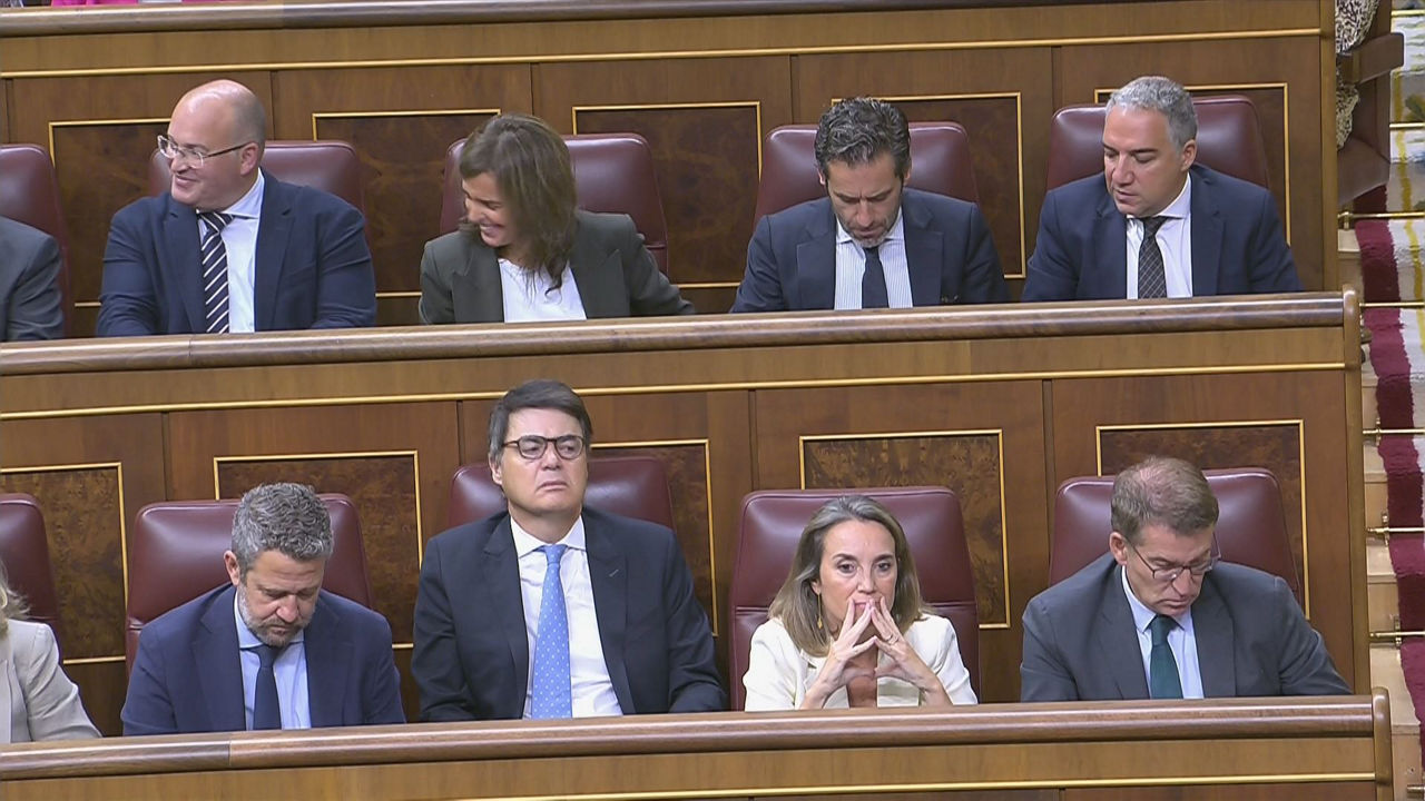 20230921115359_pp-pinganillo_