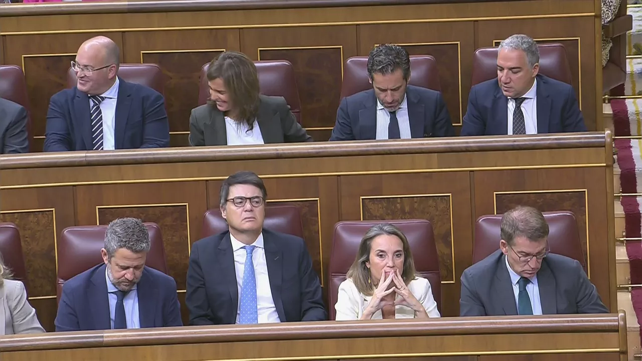 20230921115359_pp-pinganillo_