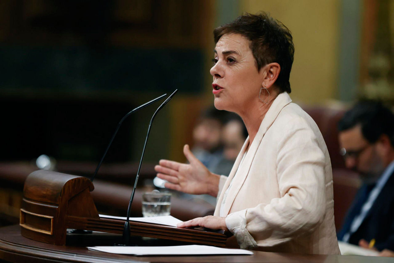 Aizpurua-Congreso-EH-Bildu-efe