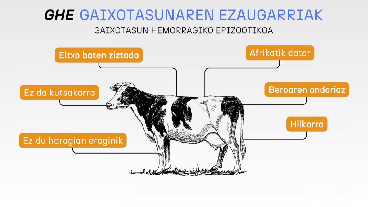 20230928131715_ghegaixotasunaeusk_