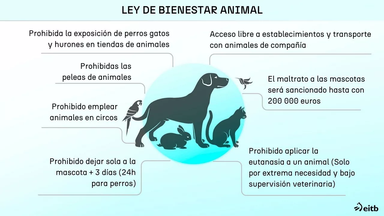 Ley Bienestar Animal 3 - ES