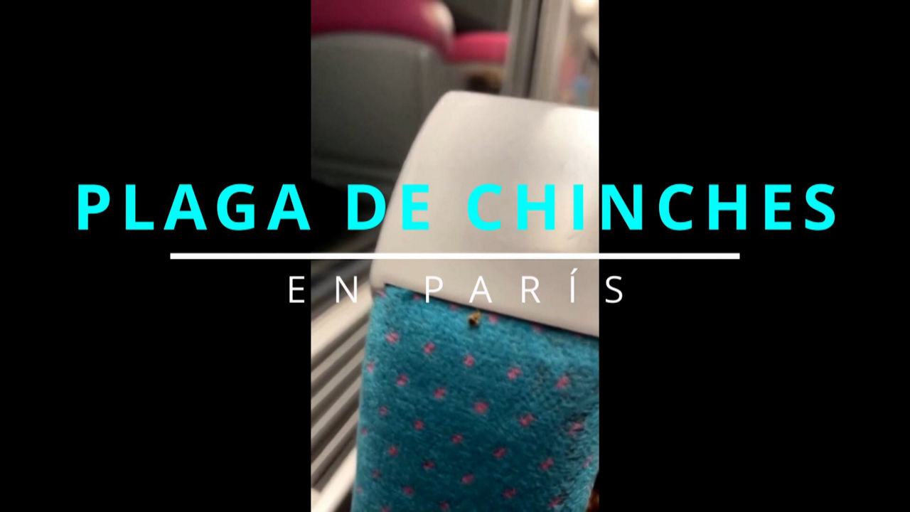 20231002181444_chinches-paris_
