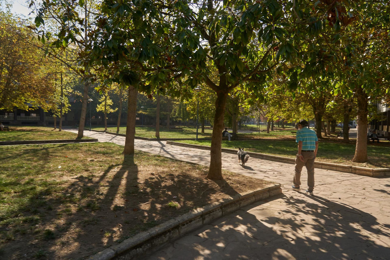 miguel ANGEL BLANCO PARKEA GASTEIZ VITORIA PARQUE