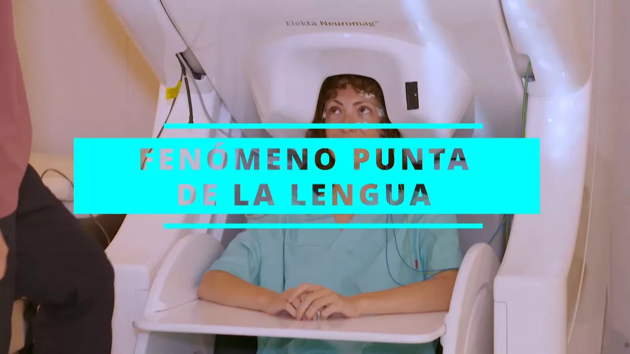 20231005212242_punta-de-lengua_