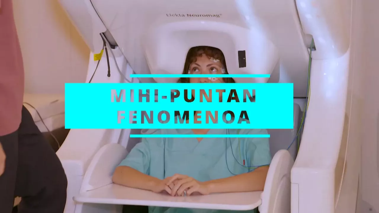 20231005223005_mihi-puntan_