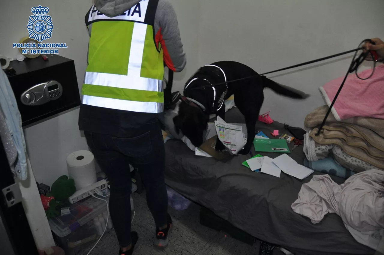 operacion-policial-san-sebastian