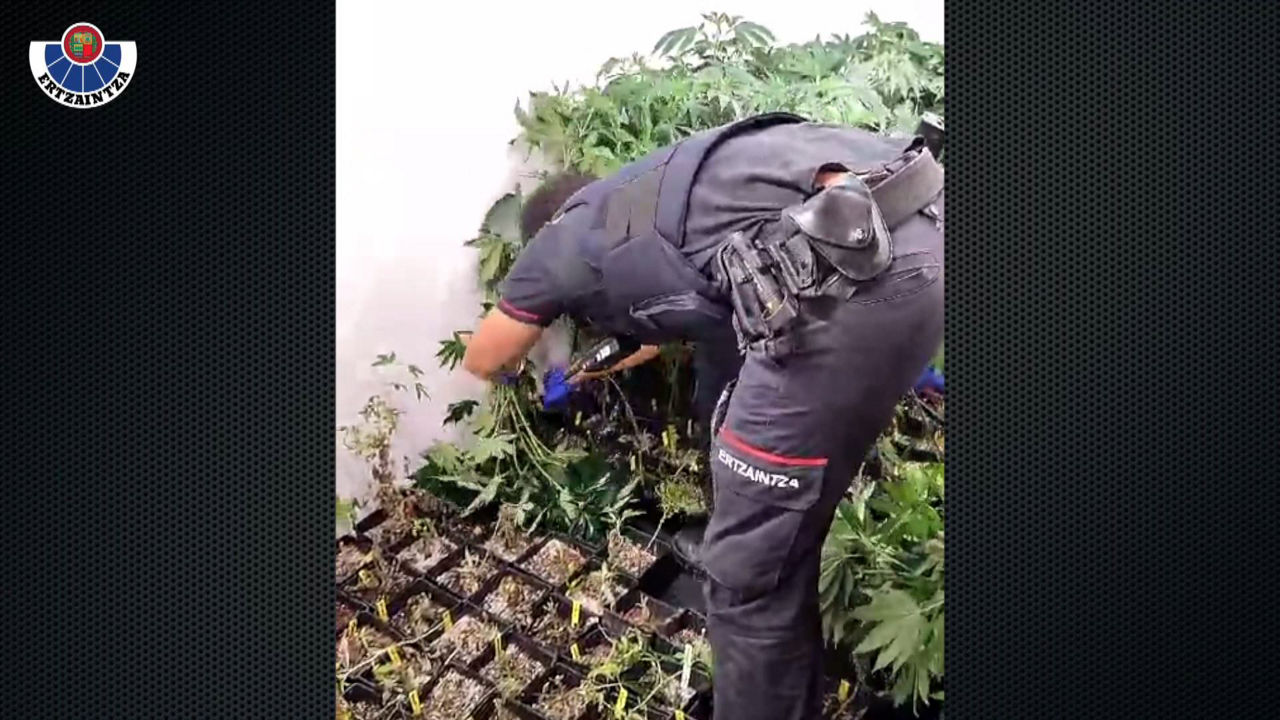 20231015121518_operacion-drogas_