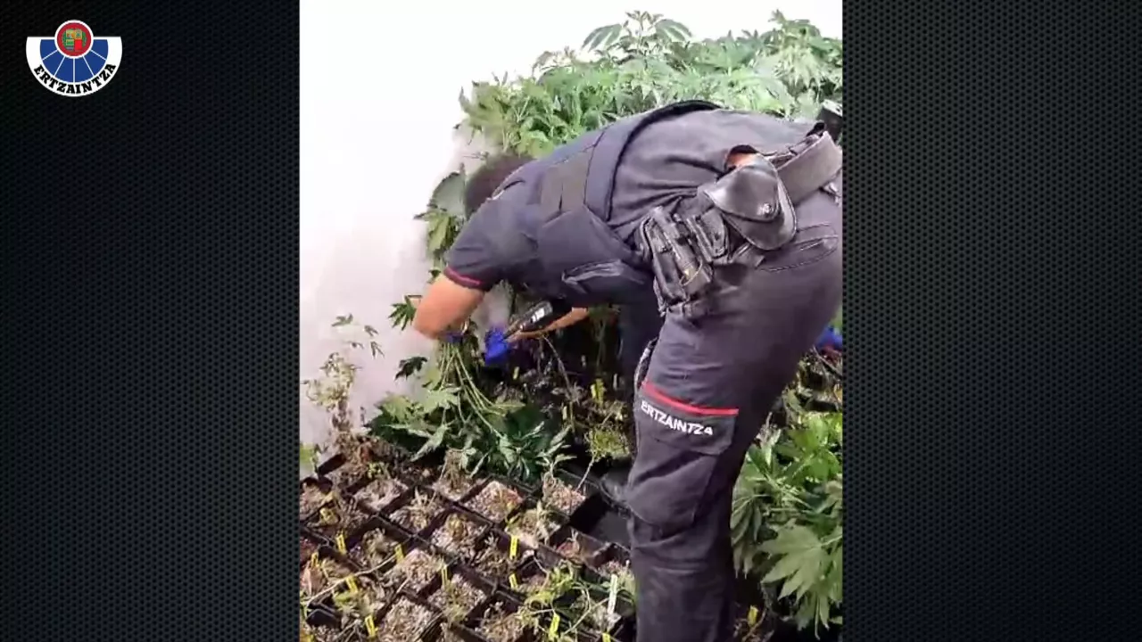 20231015121518_operacion-drogas_