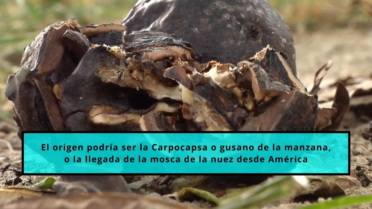 20231016170911_nueces-negras_