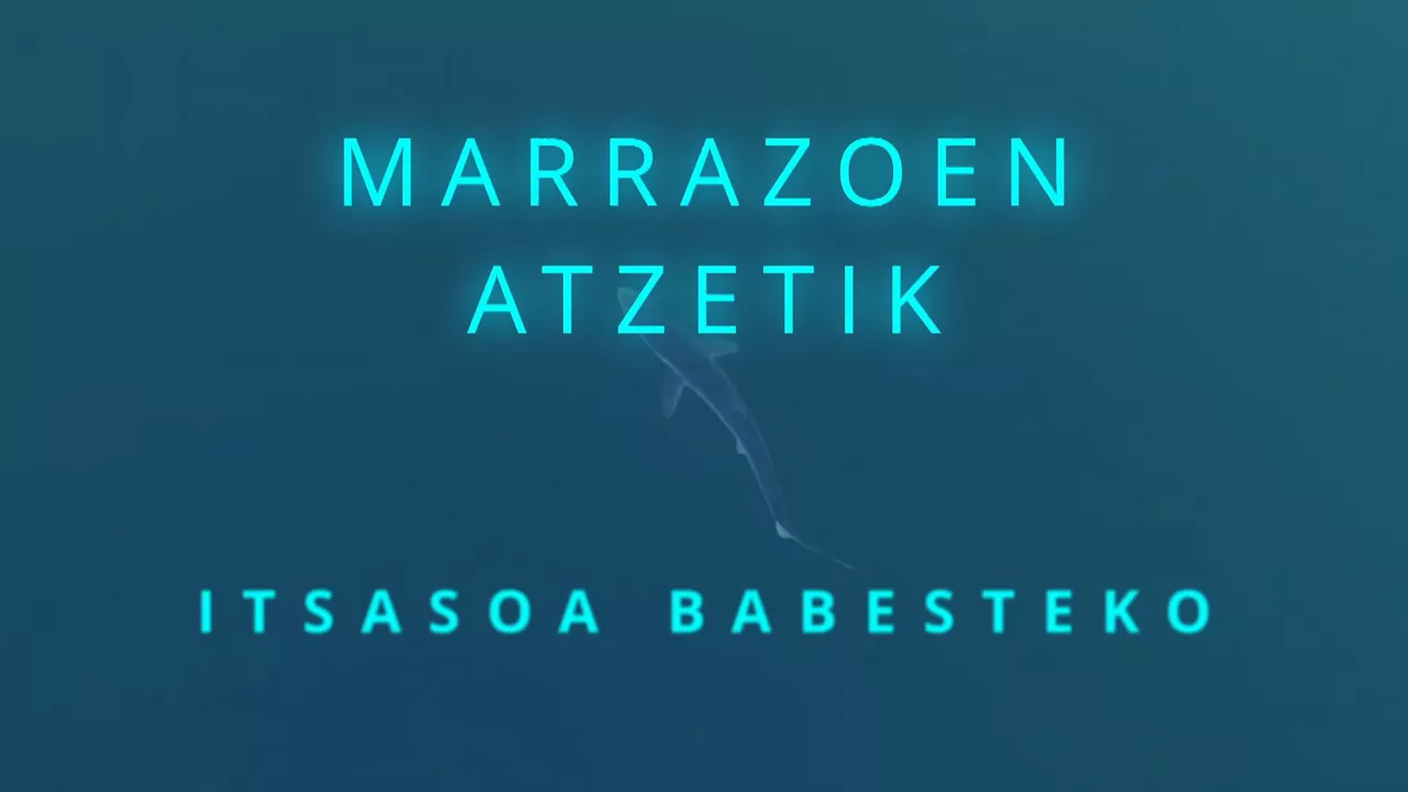 20231017180733_marrazoak_