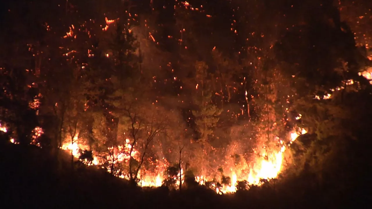 20231023123607_incendio_