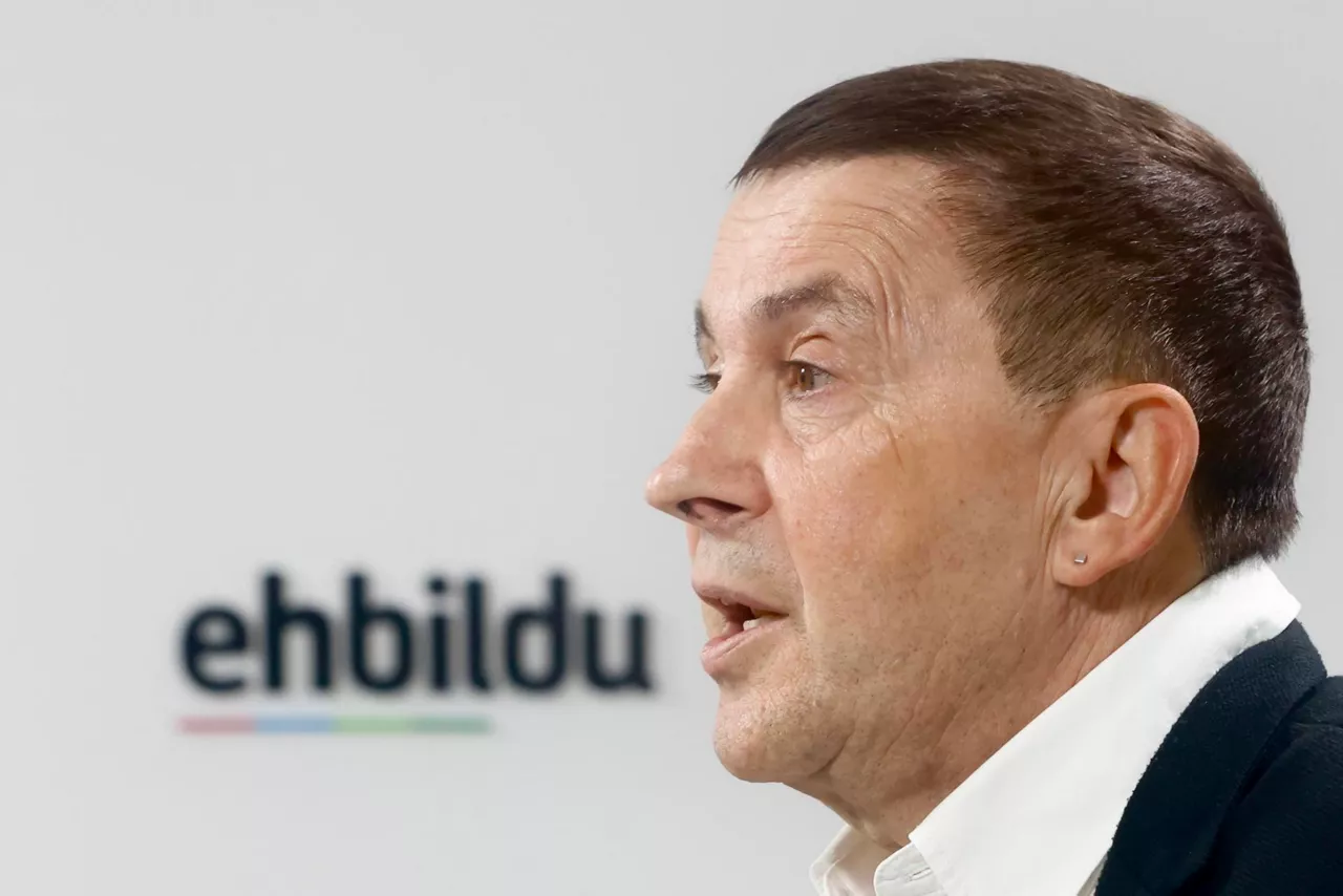 arnaldo otegi eh bildu efe
