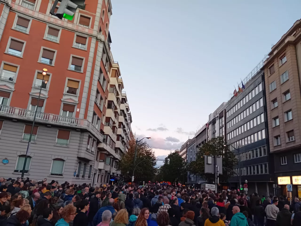 Euskara manifestazioa