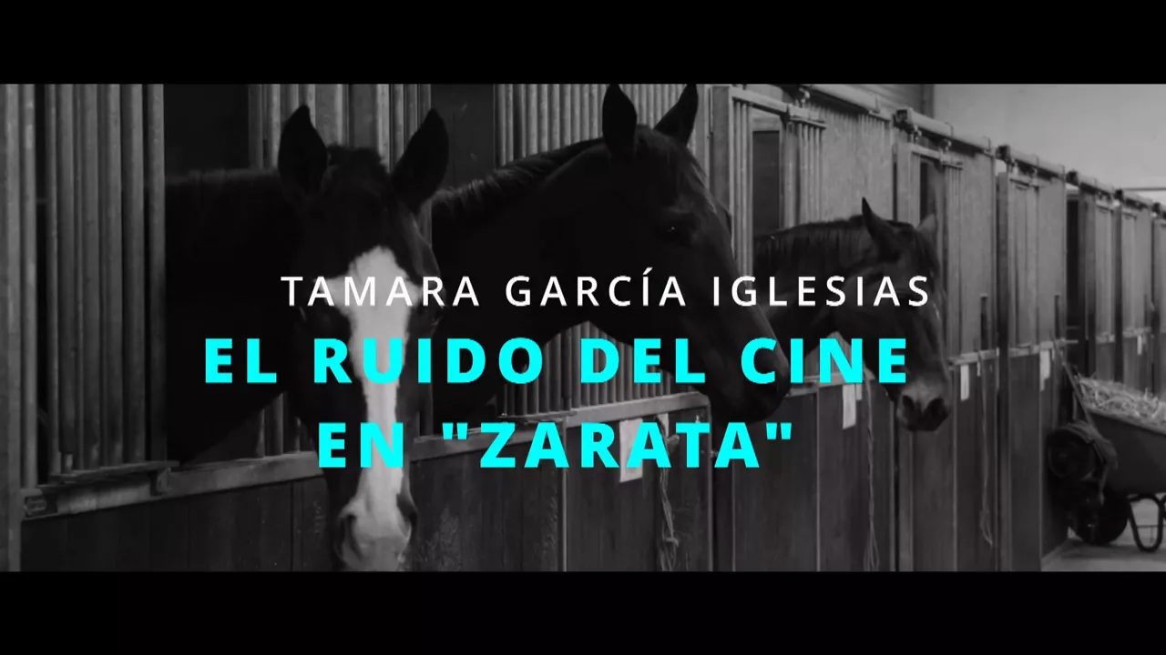 20231108200156_zarata_