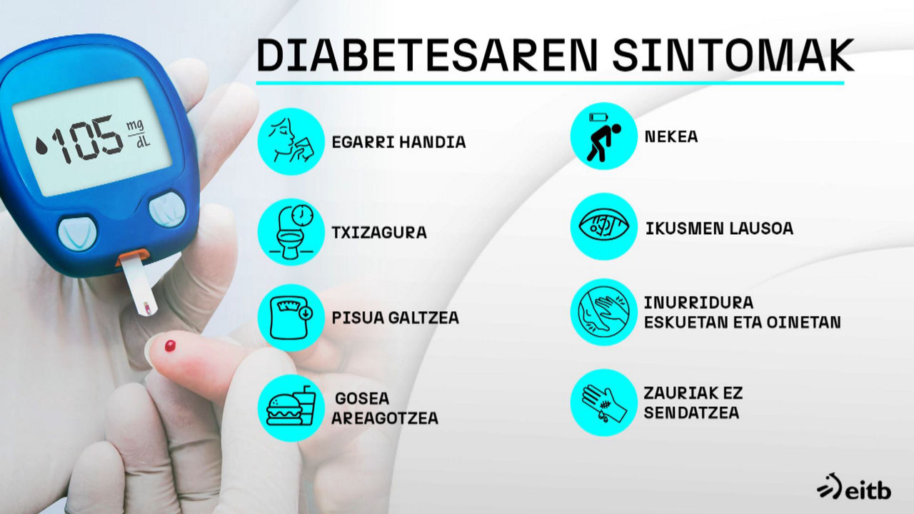 DIABETESA, DIABETESA EUSKADIN