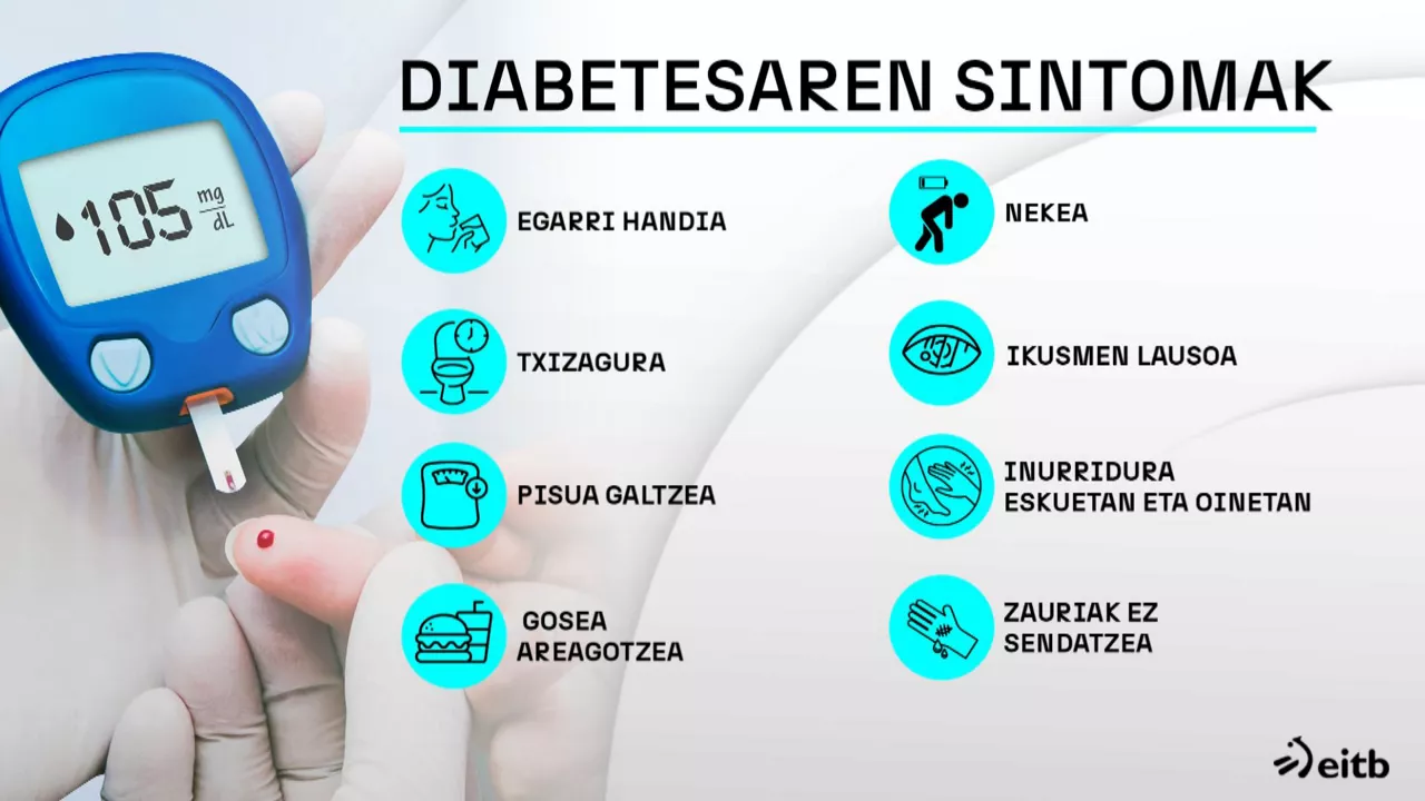 DIABETESA, DIABETESA EUSKADIN