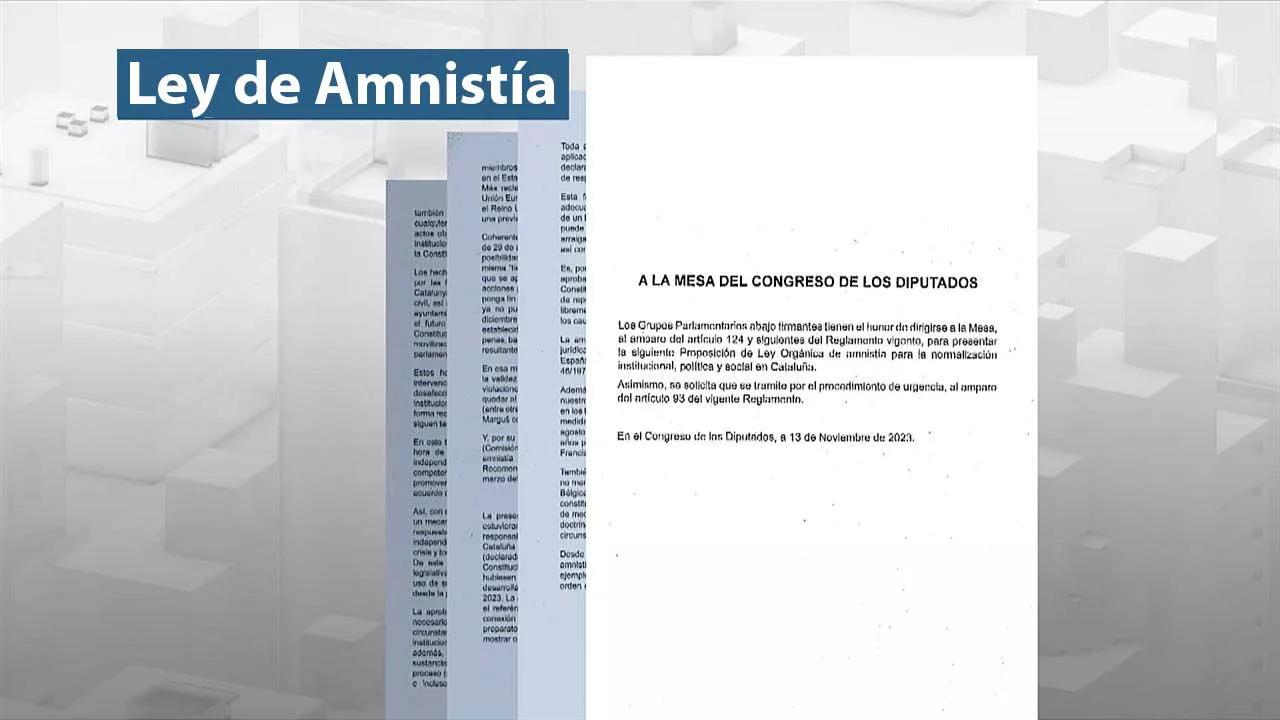 ley de amnistia_ona