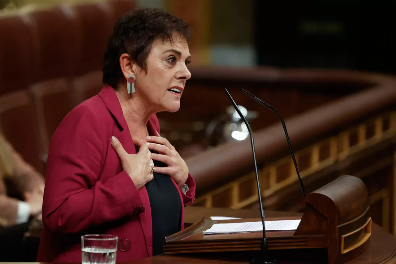 mertxe aizpurua eh bildu investidura efe