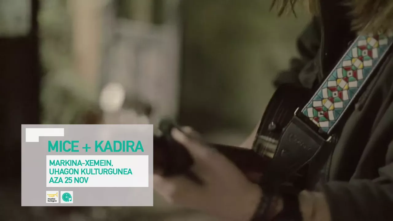 20231122112031_mice-kadira_