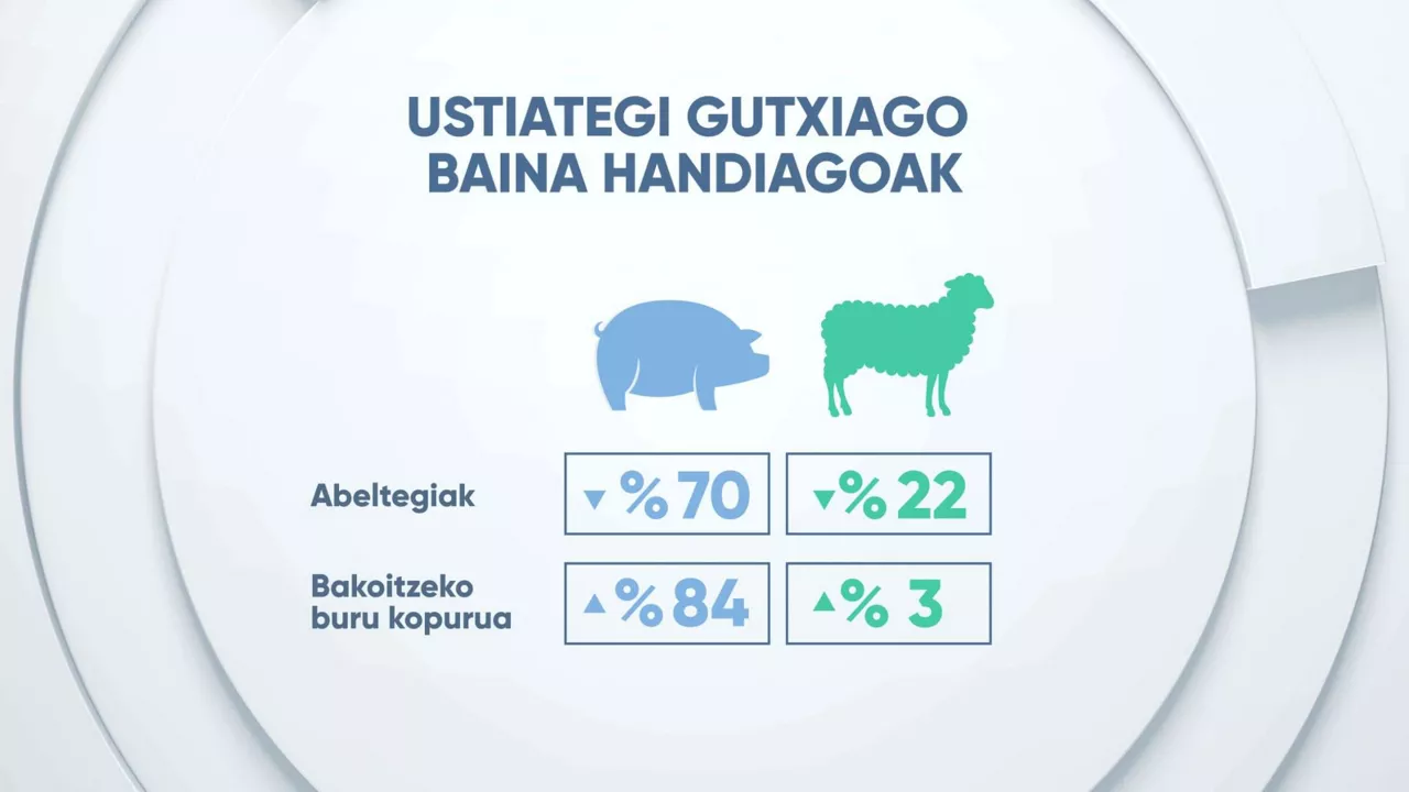 Baina handiagoak