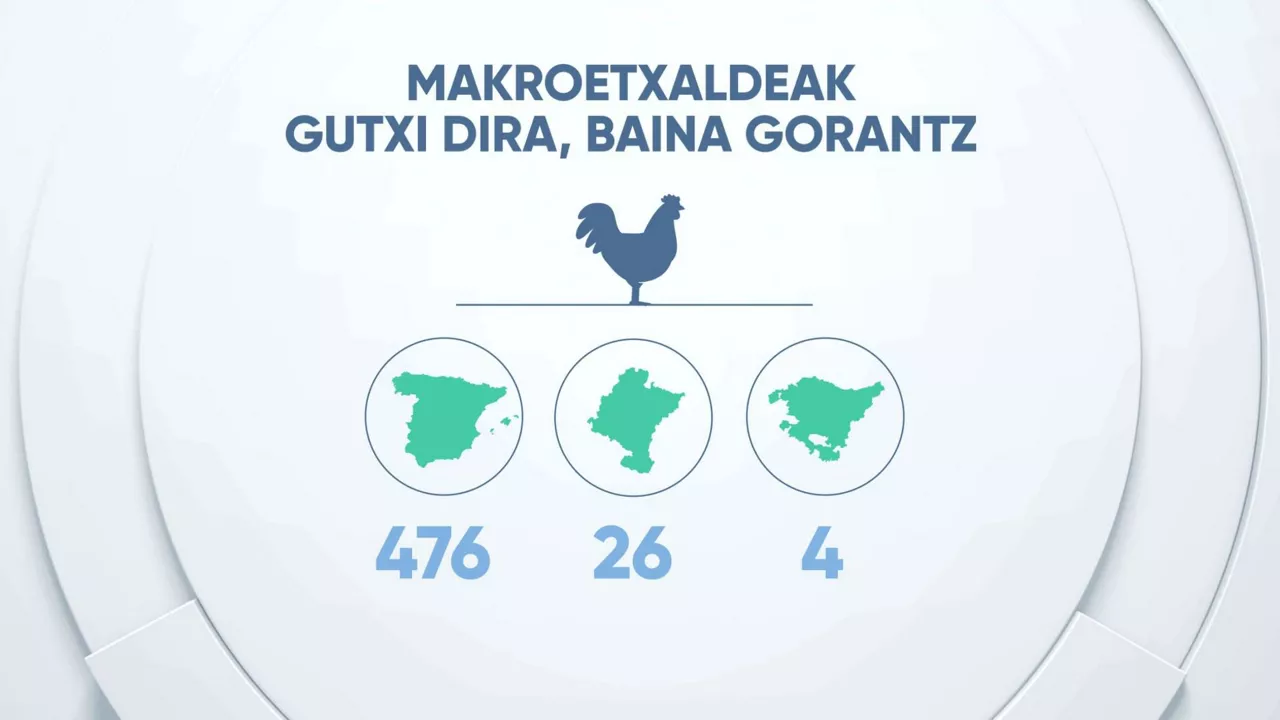 Gorantz oiloak