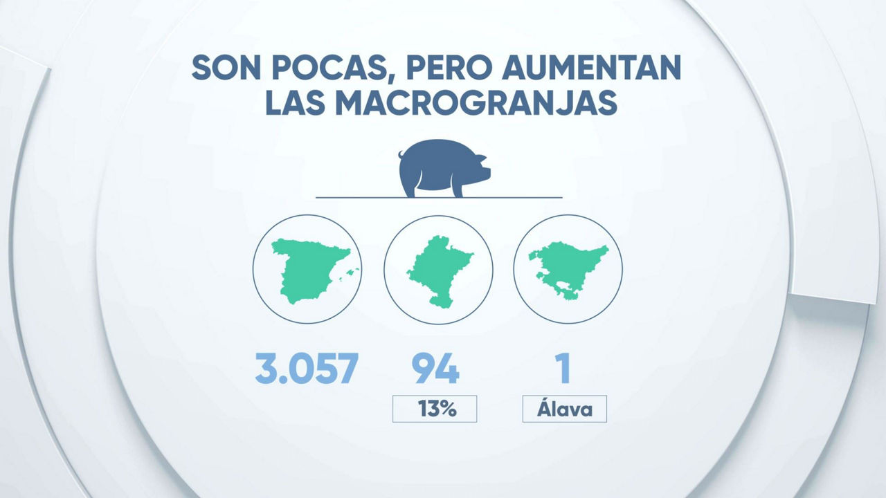 Macrogranjas