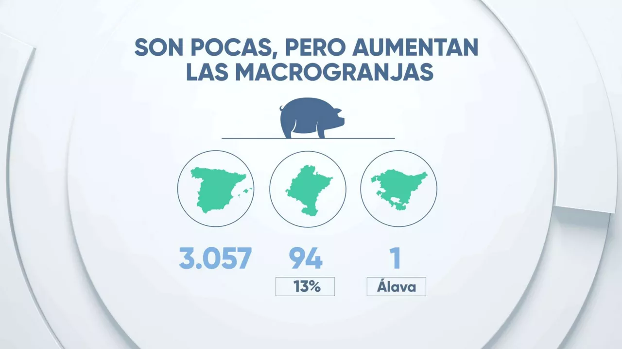 Macrogranjas