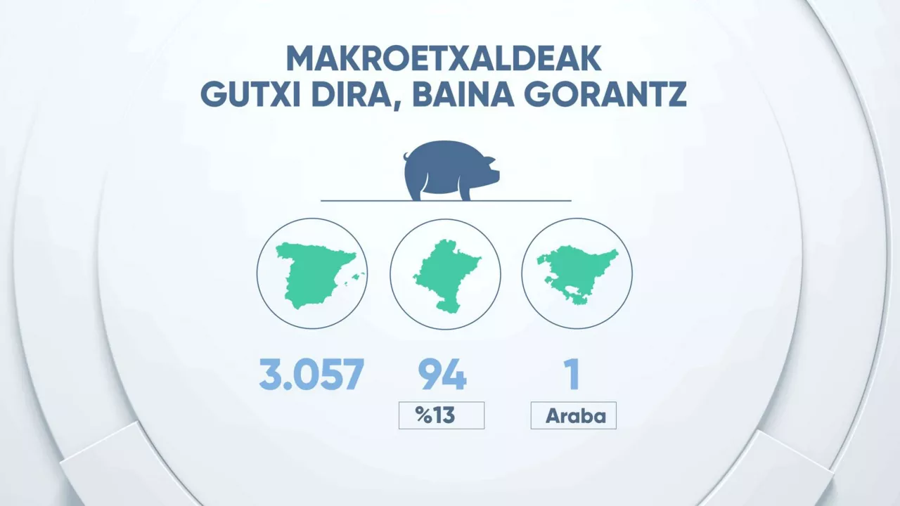 Makroetxaldeak