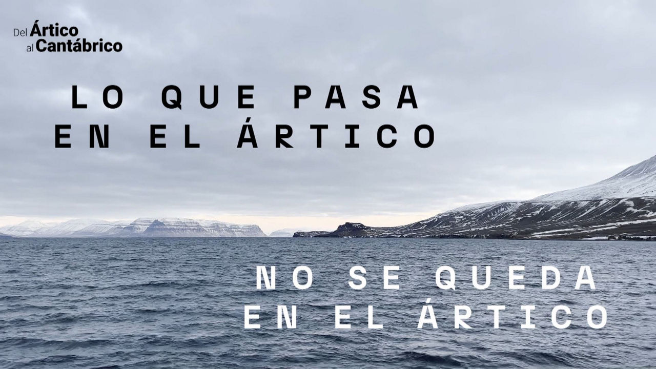 20231123122038_artico_