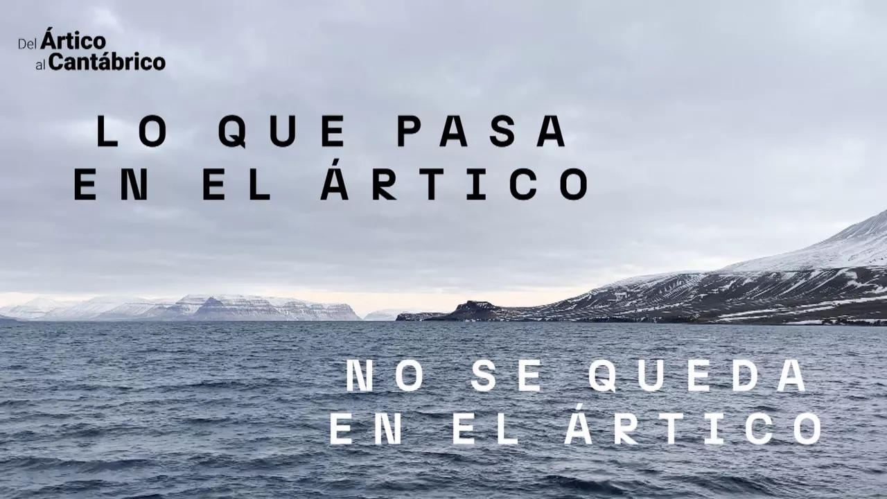 20231123122038_artico_