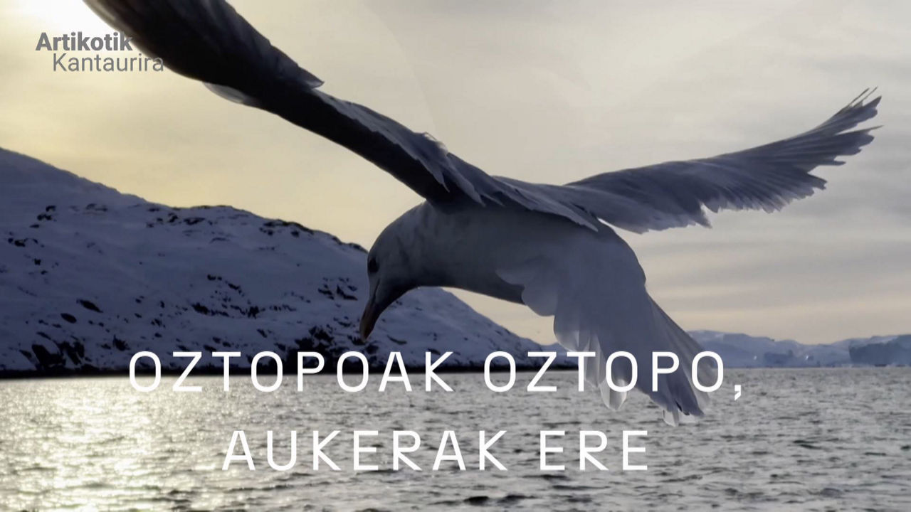 20231127102058_artikoa_