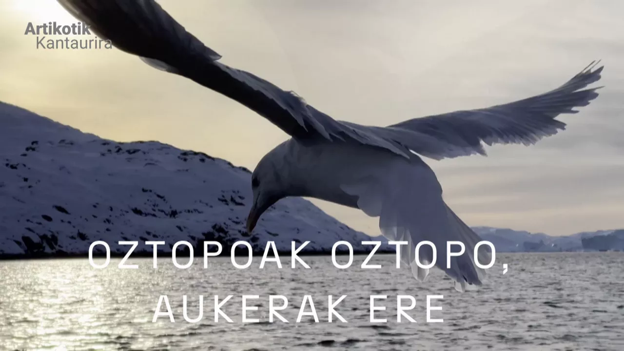 20231127102058_artikoa_