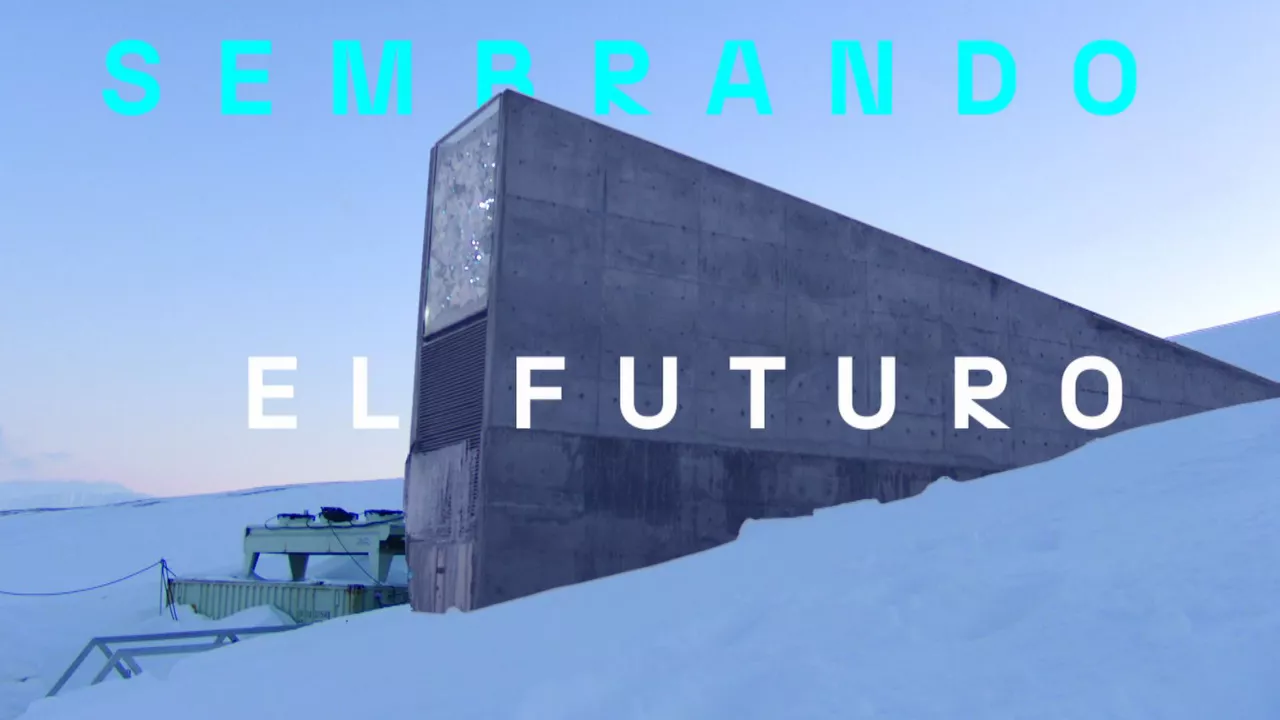 20231127192601_semillas_
