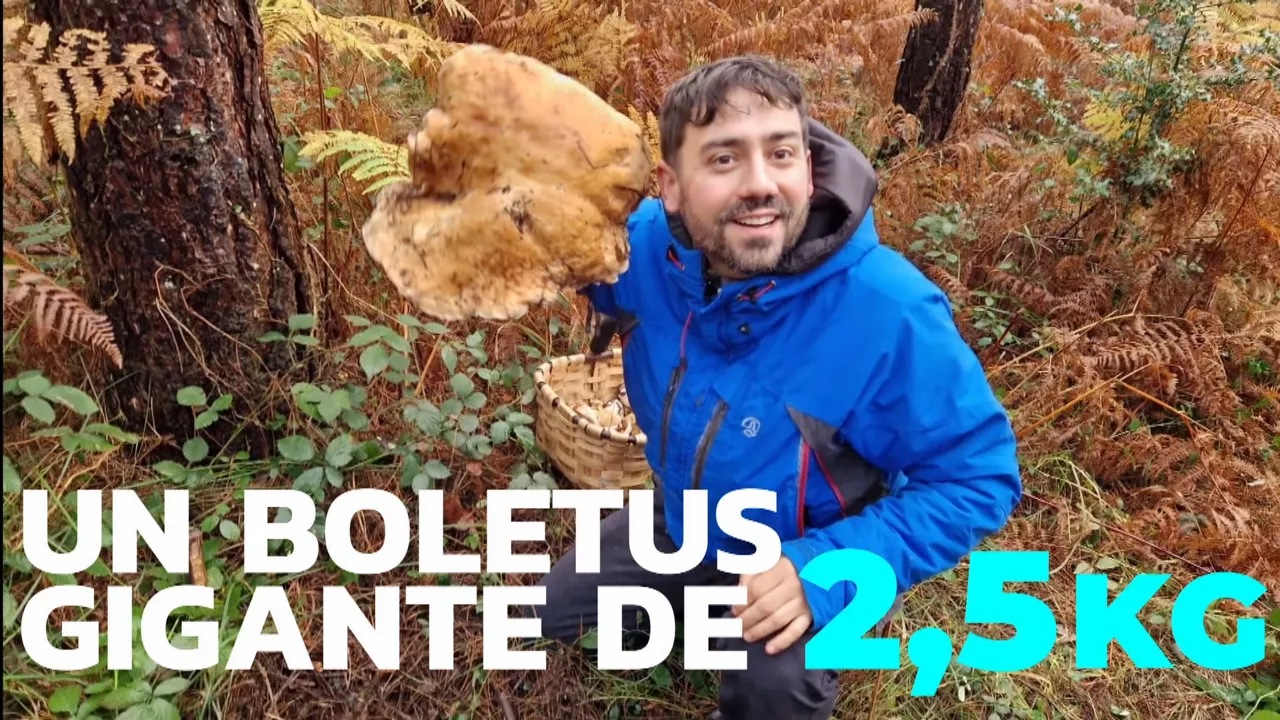 20231128205629_boletus_