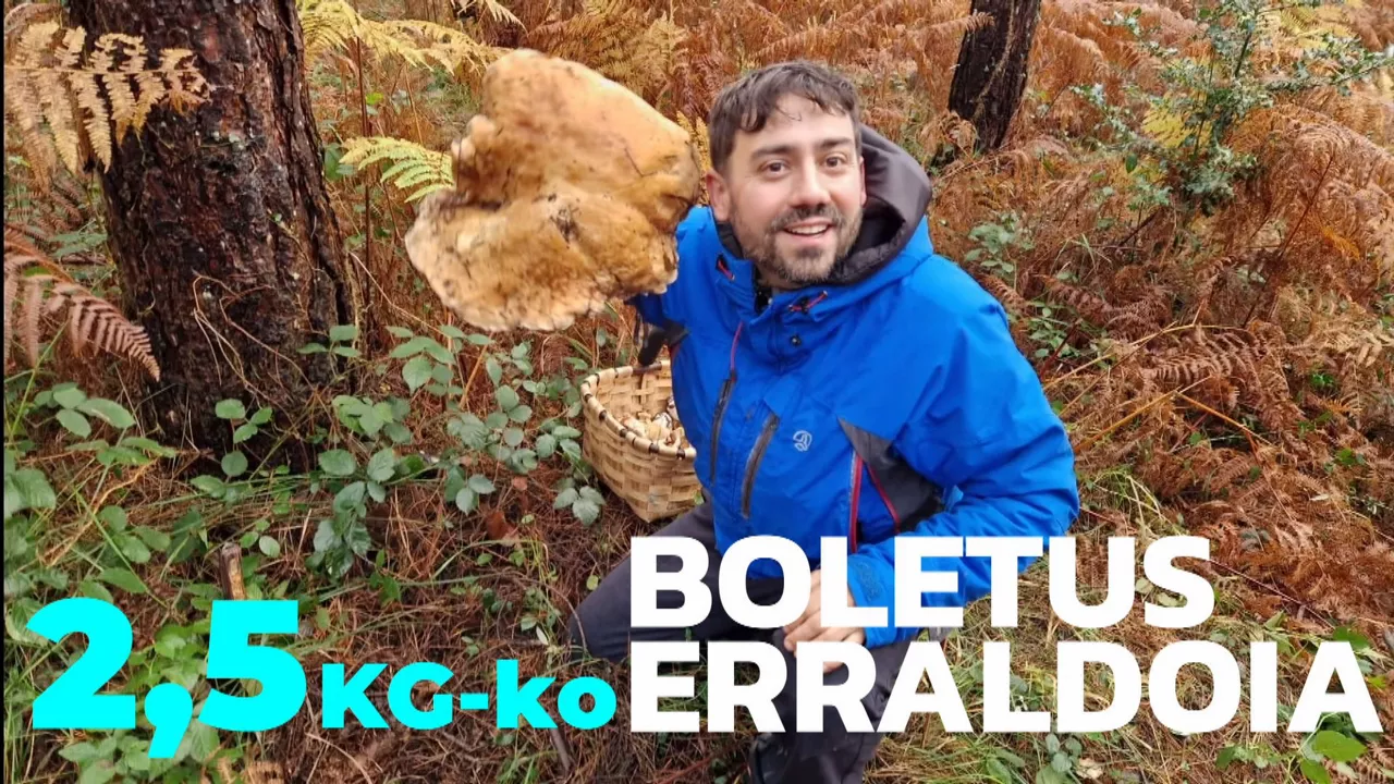 20231128211513_aitor-boletus_