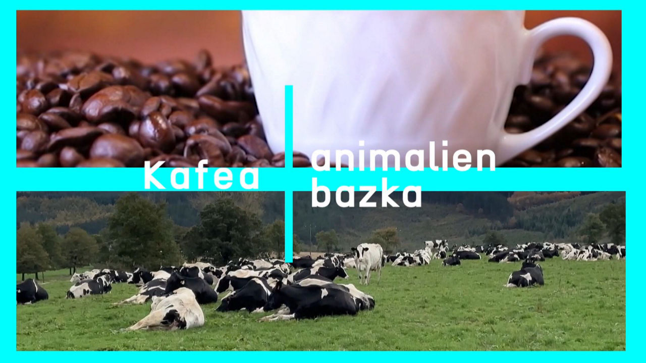 20231129115441_kafea-animalien-bazka_
