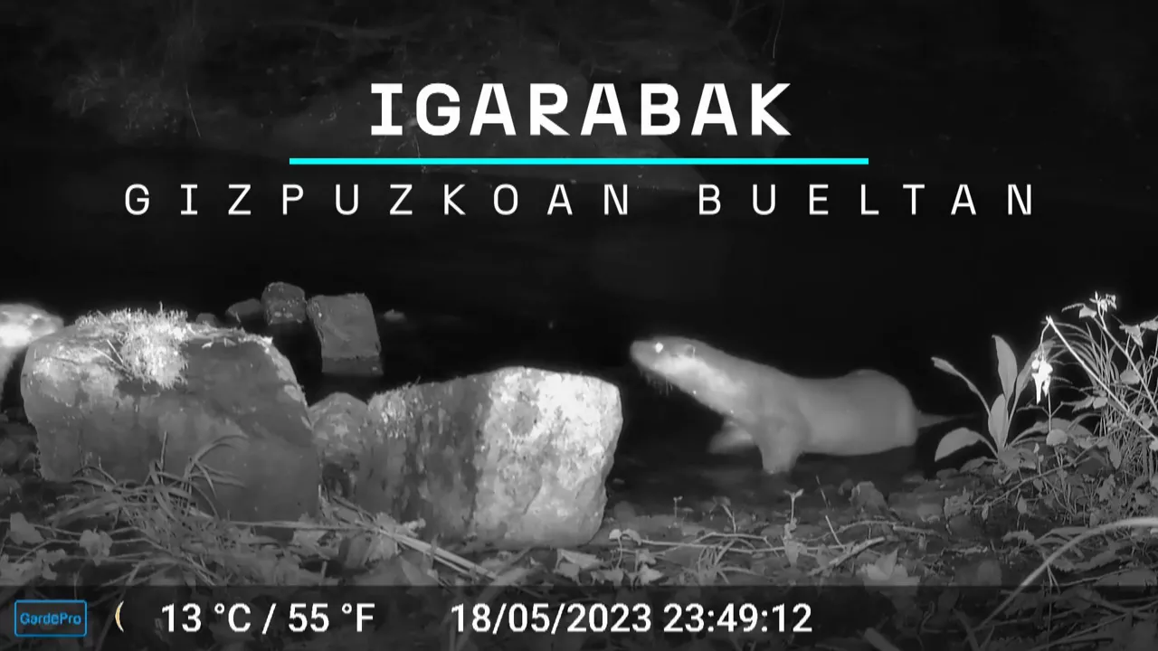 20231208140747_igarabak-gipuzkoan_