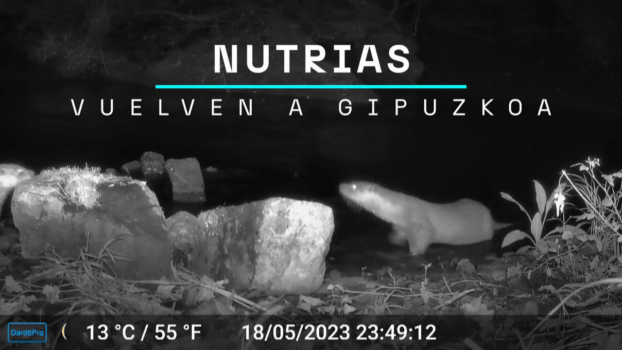 20231208175328_nuetrias-vuelven-a-gipuzkoa_