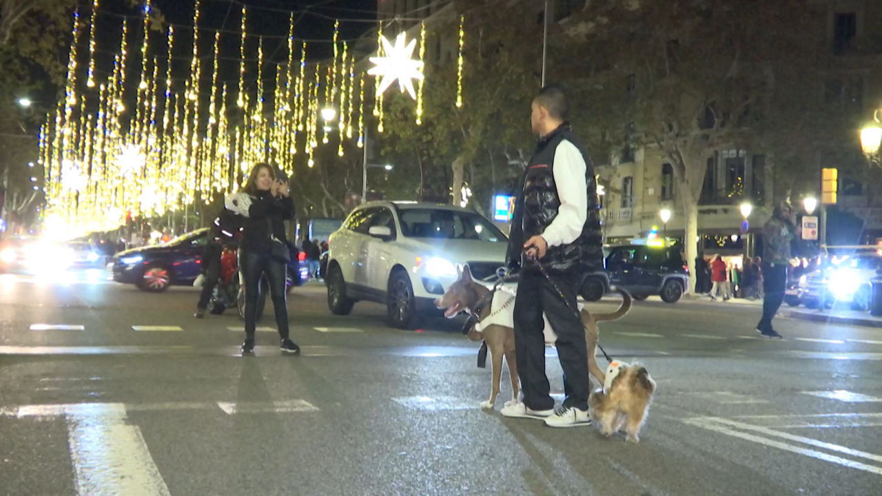 20231210221153_gracia_