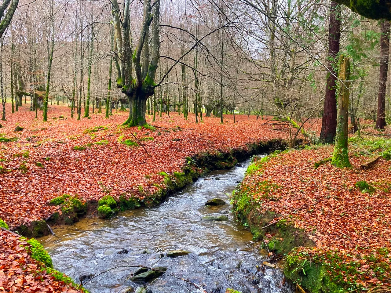 GIRO HOTZA, URKIOLAN! udazkena otoño urkiola victor uriarte