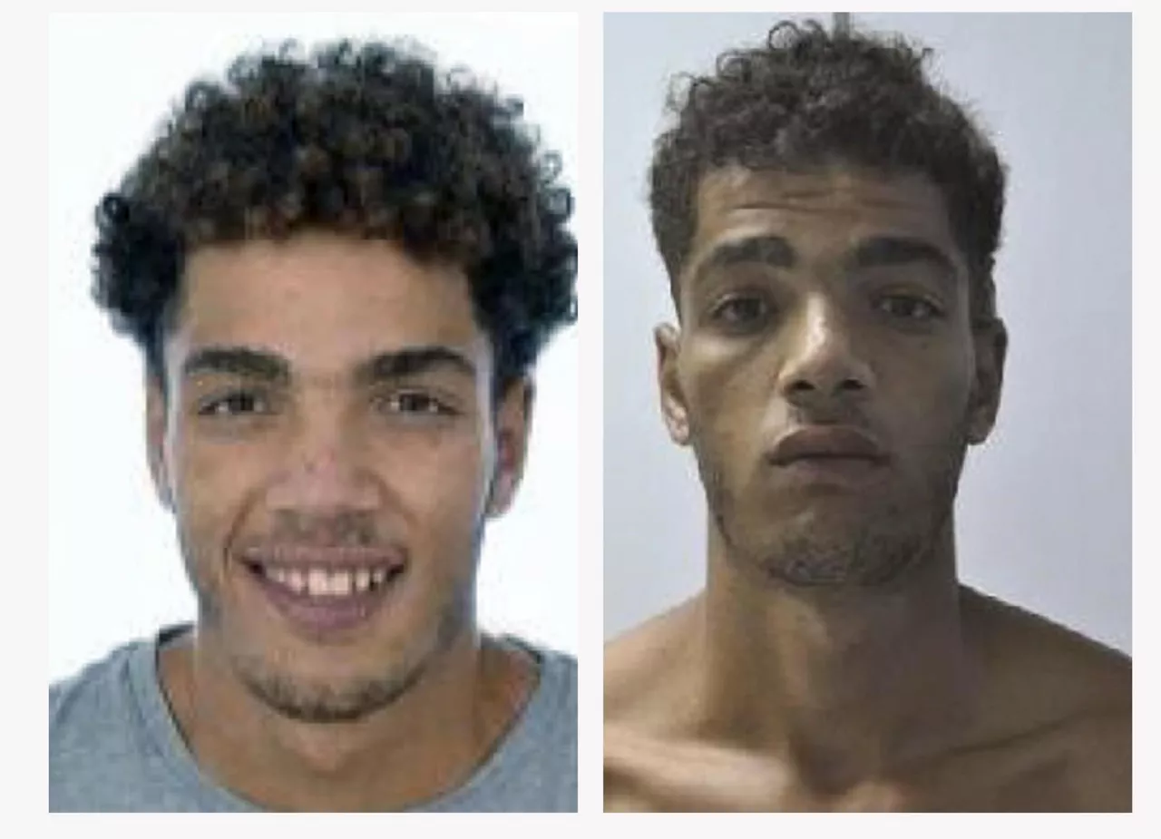 sicario-el-pastilla-efe