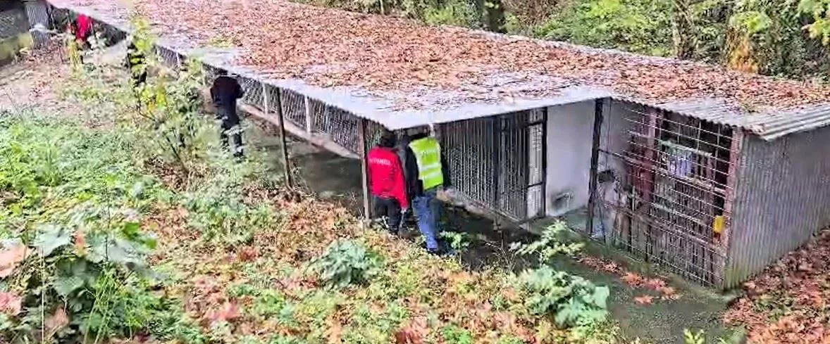 albergue-bidasoa