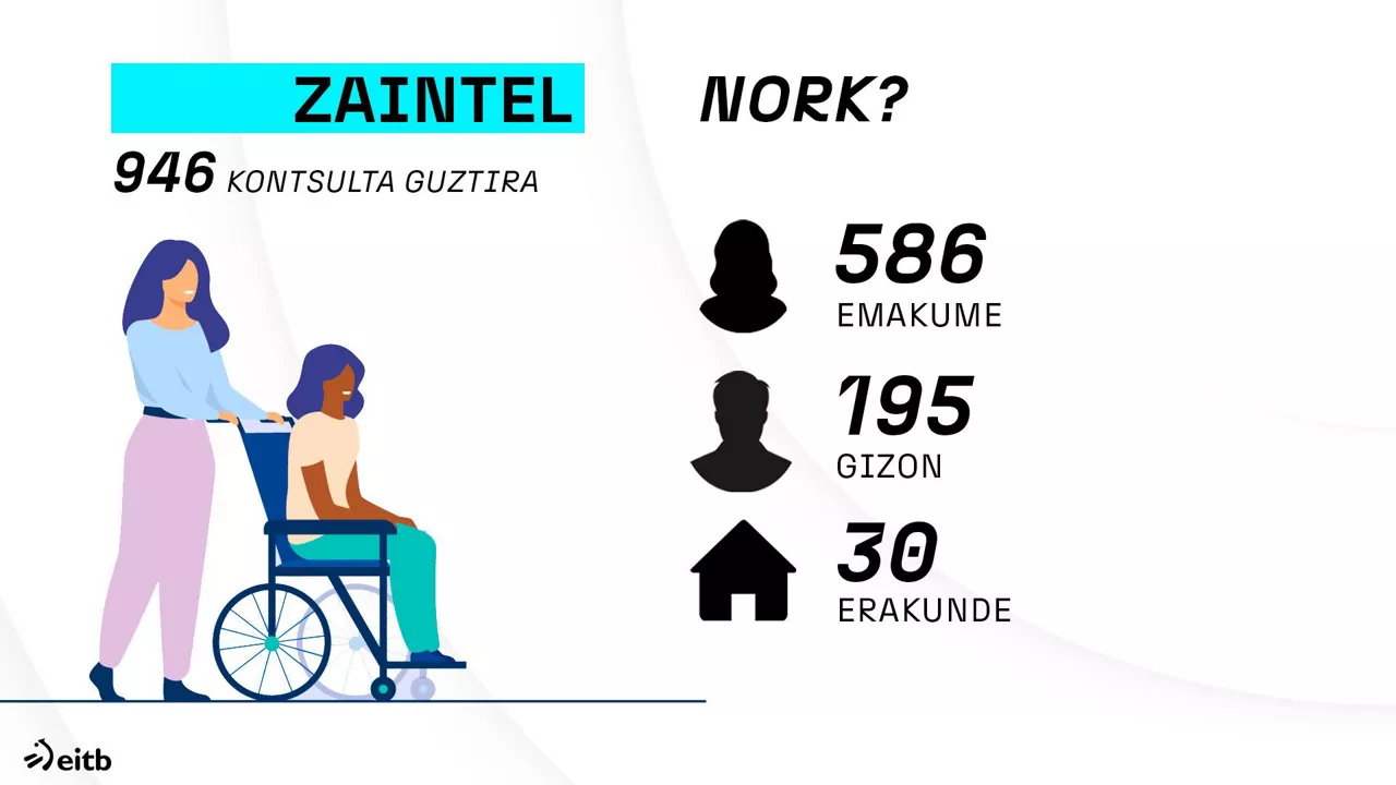 dls_zaintel_eu_2