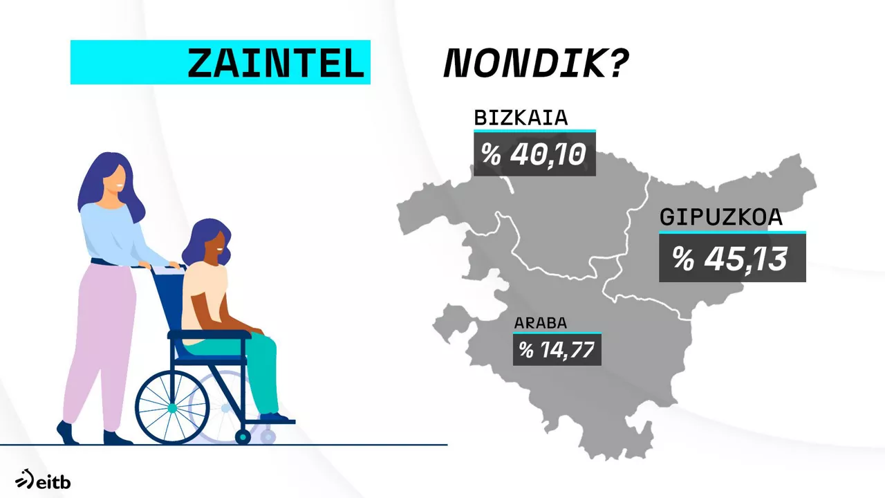dls_zaintel_eu_3