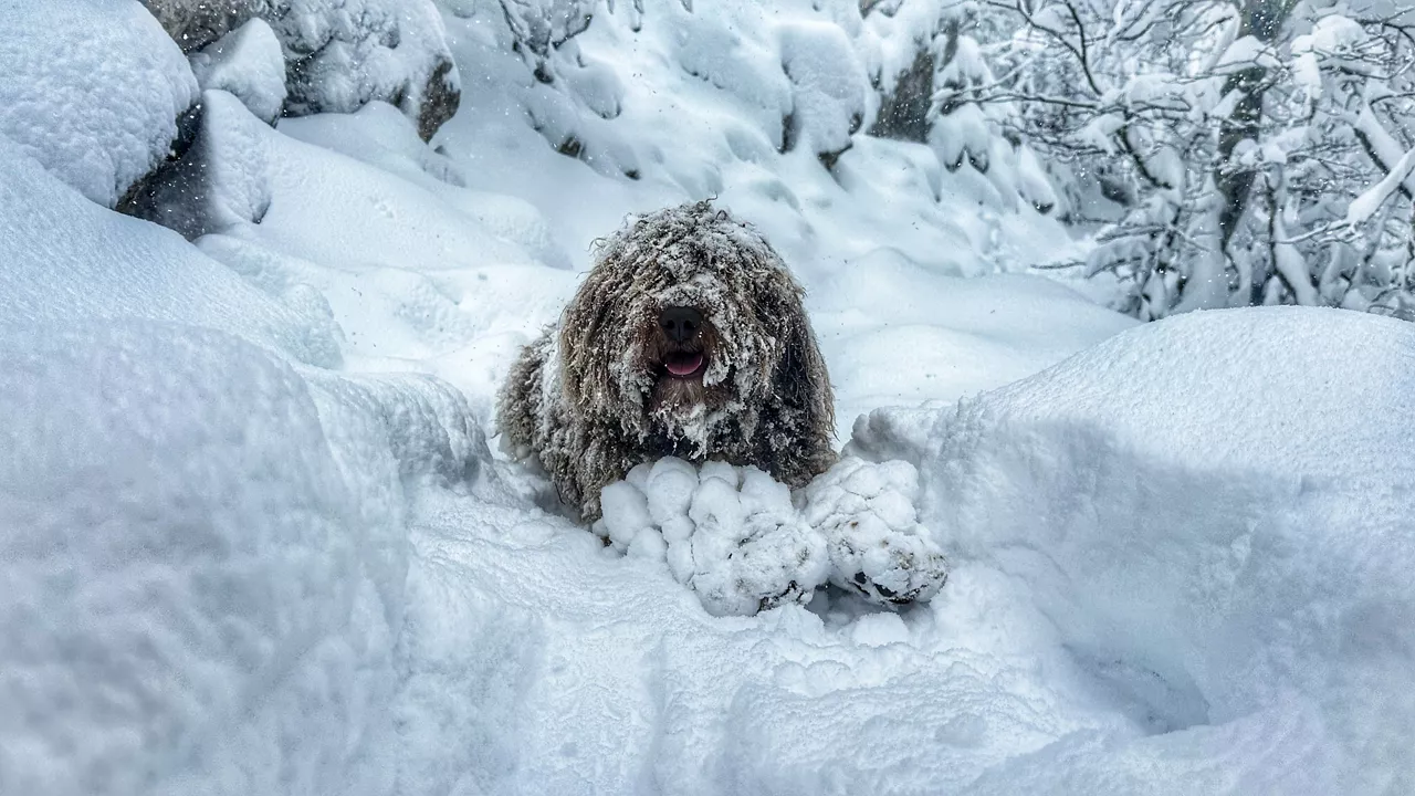 AIZKORRI  elurra nieve negua invierno