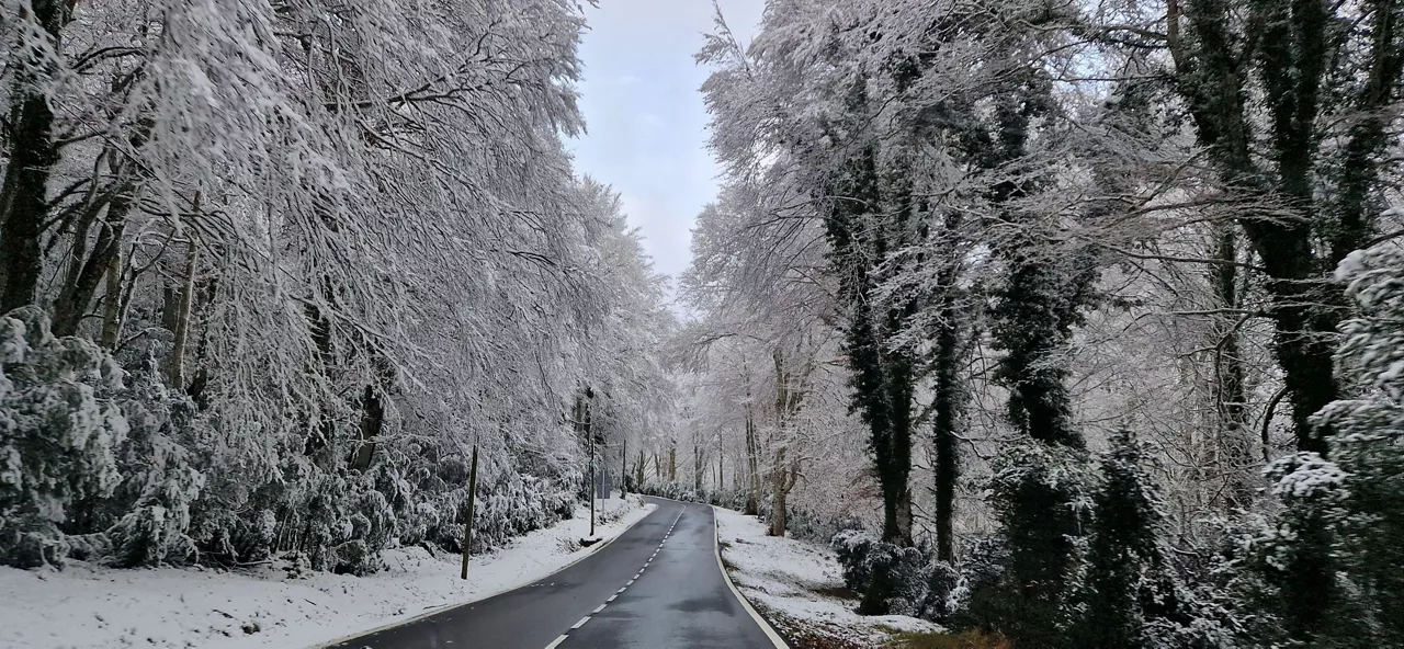 PRIMERA NEVADA DEL AÑO