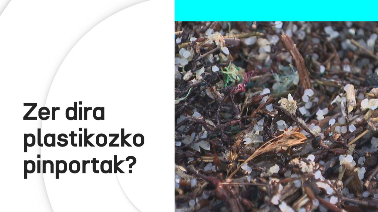 20240108190439_pinportak_